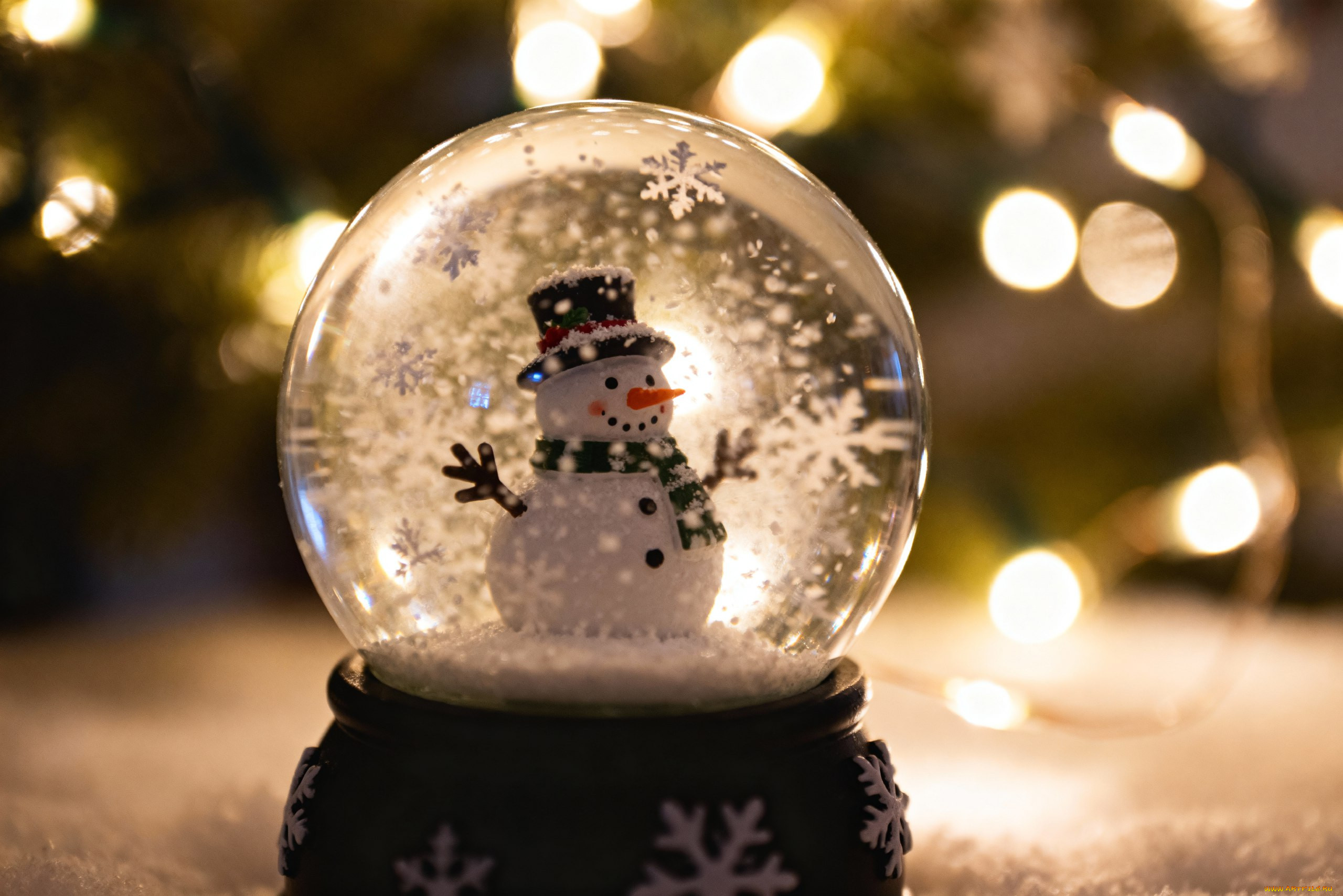 �����������, ���������, ����������